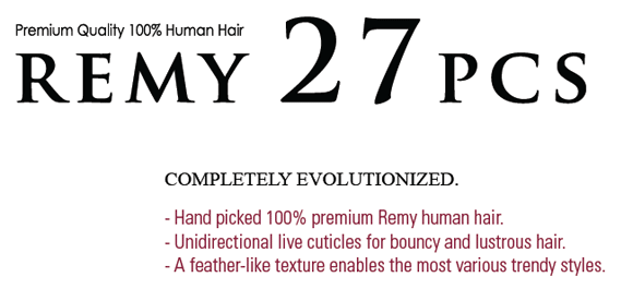 remy27banner.gif remy27banner.gif