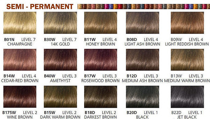 Clairol Semi Permanent Hair Color Chart