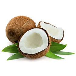 hairoil-coconut.jpg hairoil-coconut.jpg