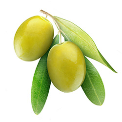 hairoil-olive.jpg hairoil-olive.jpg